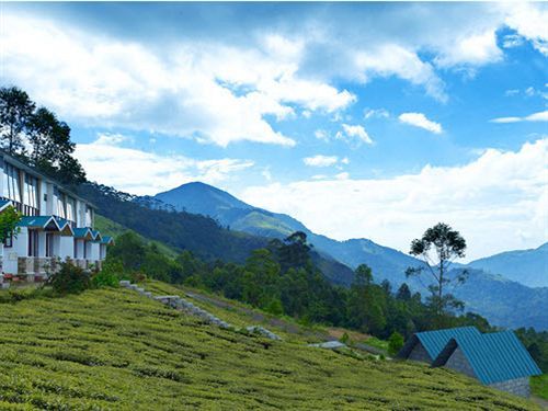 Green Jungle Holiday Resort Munnar Zewnętrze zdjęcie