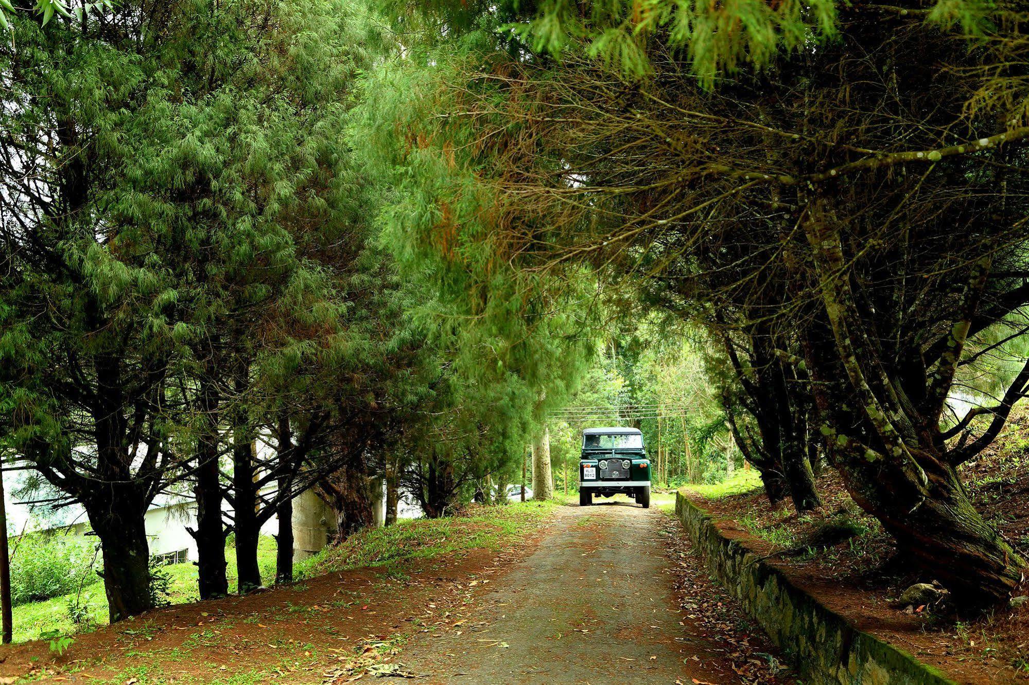 Green Jungle Holiday Resort Munnar Zewnętrze zdjęcie